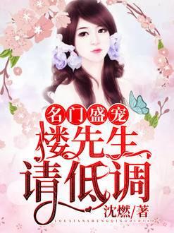 沈良平林清和小說全文