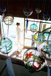 鳳泱封澤知乎封面