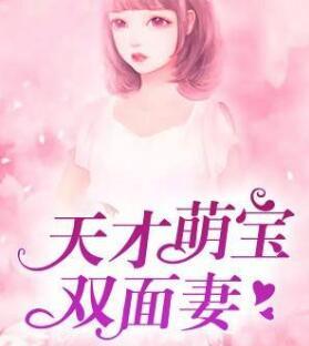 我的戰機是洞天法寶封面