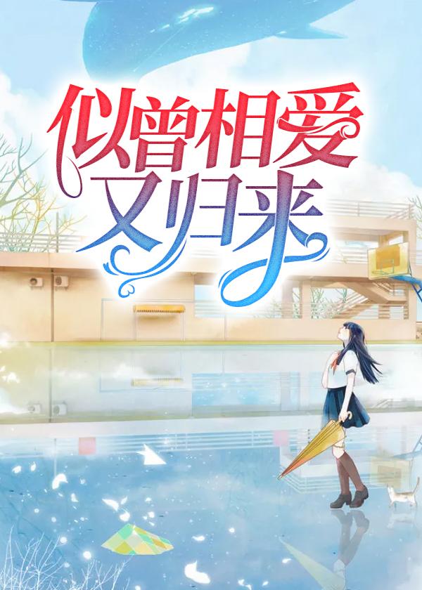 似曾相愛又歸來封面