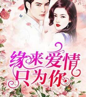 緣來愛情只為你封面