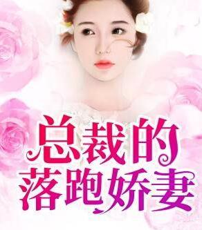 陸朝顏商冷霆封面