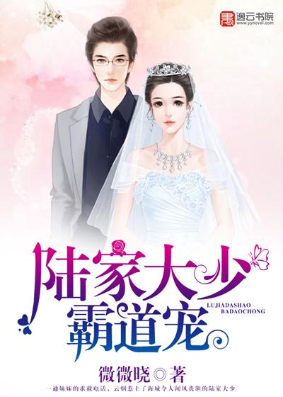陸家大少霸道寵封面
