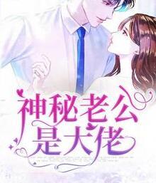 盛安心傅沉驍封面